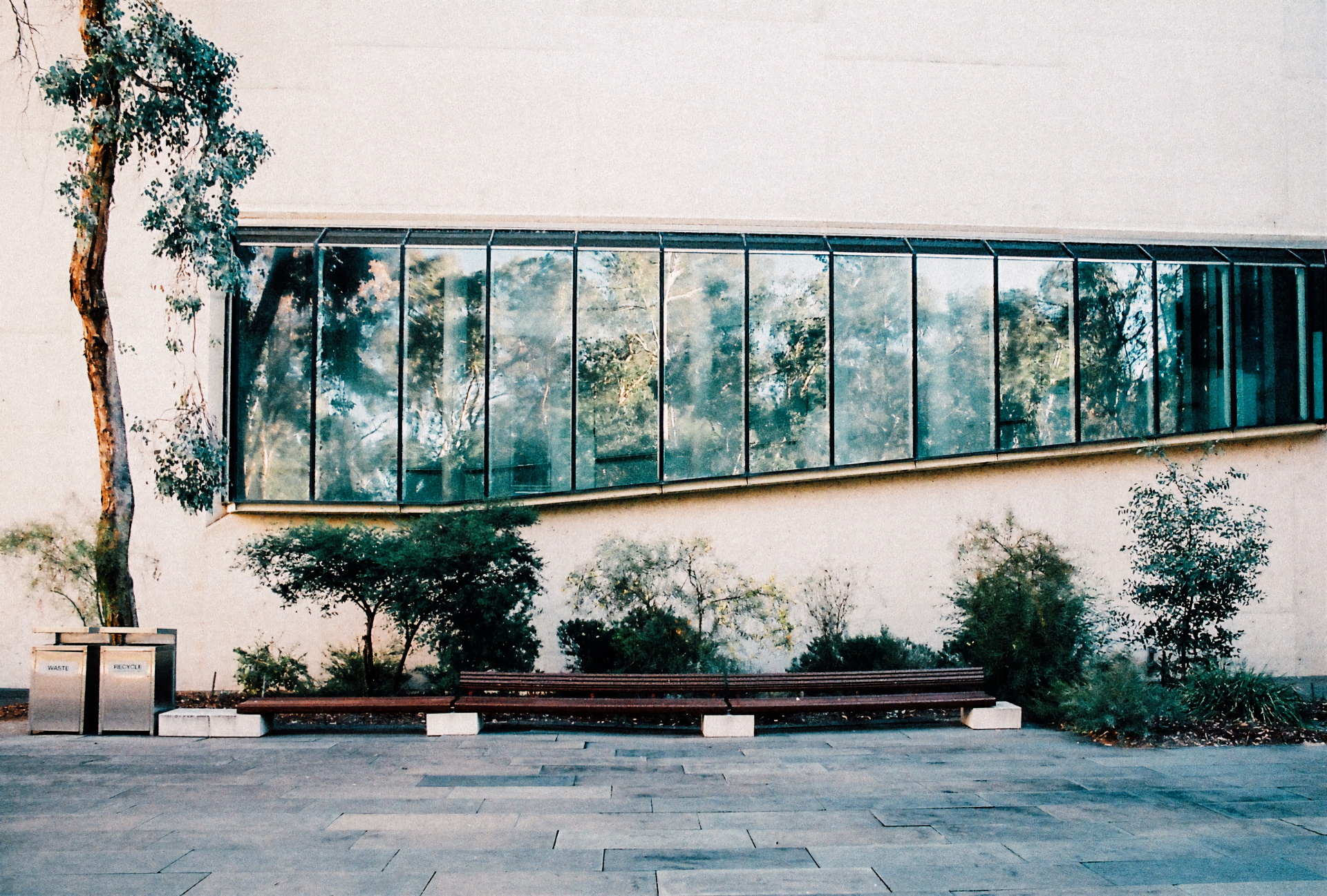 Image description – a photo showing a detail of the outside of the National Gallery of Australia building. A long, paneled window reflecting gum trees on a pale pink wall, with a bench, bushes and paved area in the foreground.